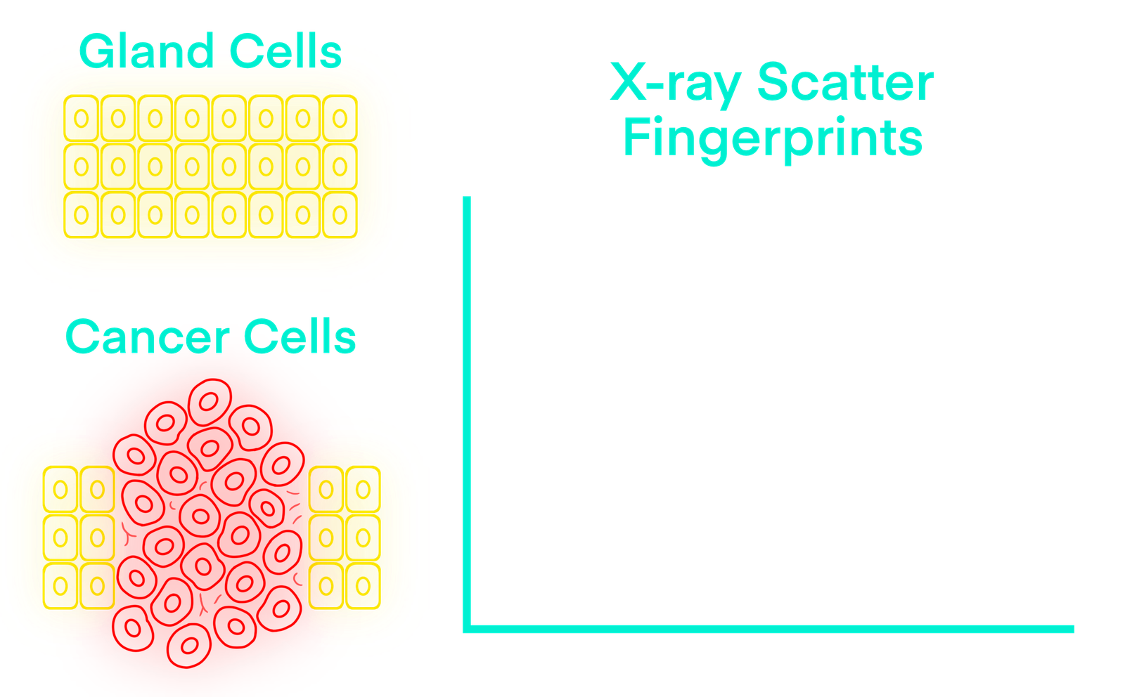 Scatter signatures base